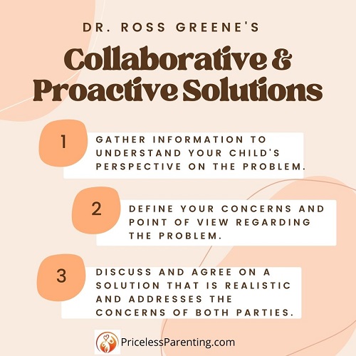 Resolving Problems Using Collaborative And Proactive Solutions