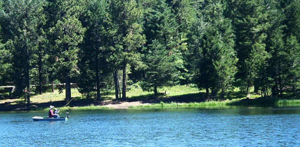 Dad and son fishing