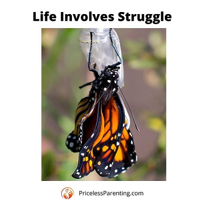 Butterfly struggling to emerge from cocoon