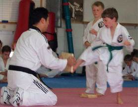 breaking board in TaeKwonDo